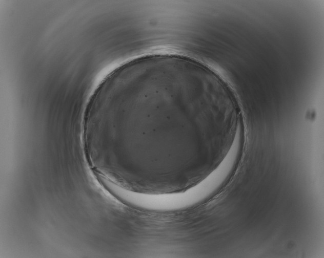 X0000111601334200908061405