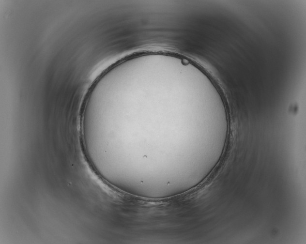 X0000111601335200908061405