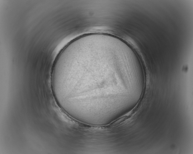 X0000111601336200908061405