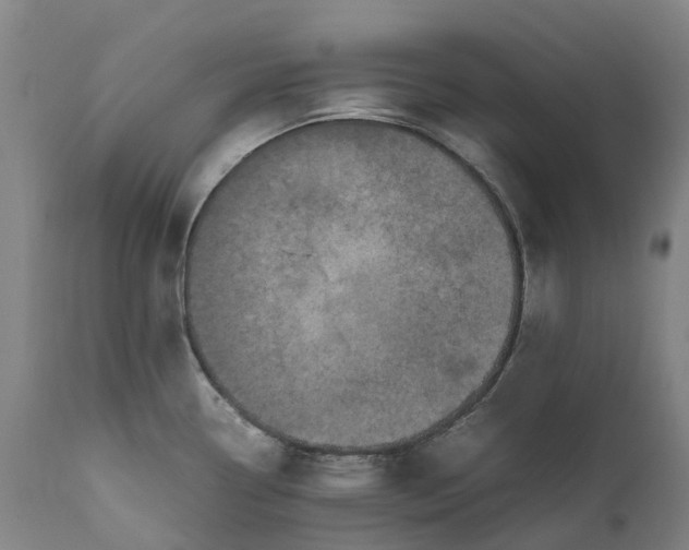 X0000111601338200908061405