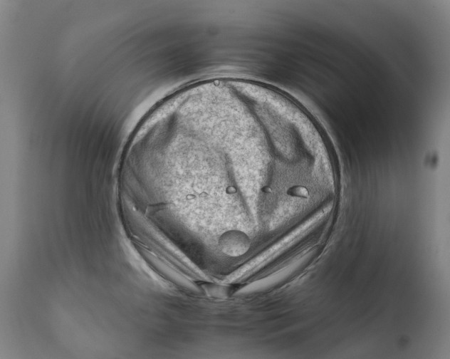 X0000111601341200908061405