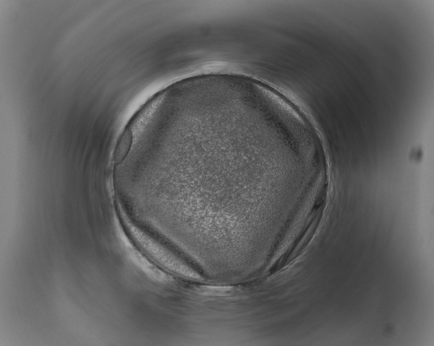X0000111601342200908061405
