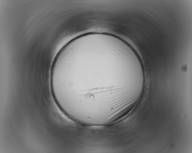 X0000111601343200908061405