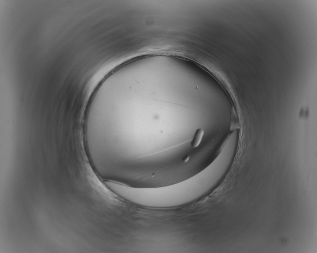 X0000111601344200908061405