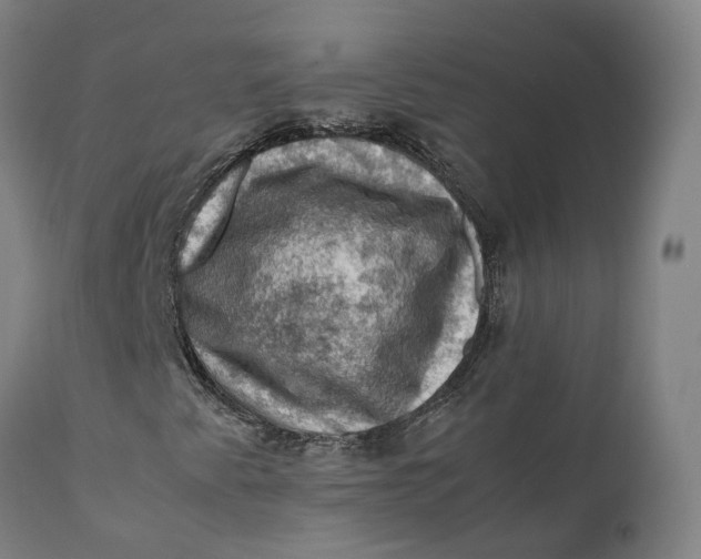 X0000111601345200908061404