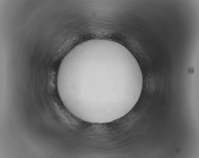 X0000111601346200908061404