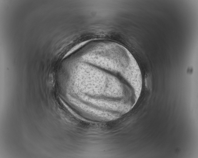 X0000111601347200908061404