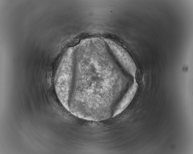 X0000111601348200908061404