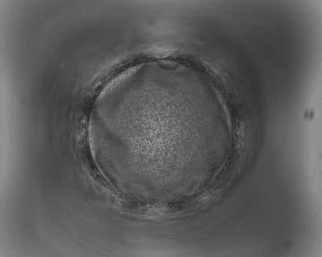 X0000111601349200908061404