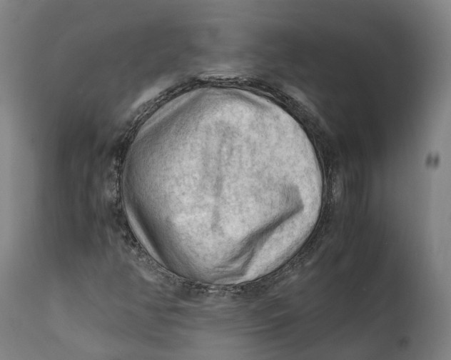 X0000111601350200908061404