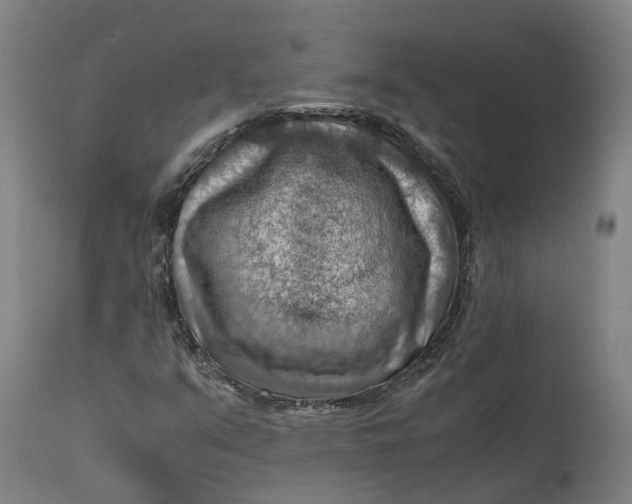 X0000111601351200908061404
