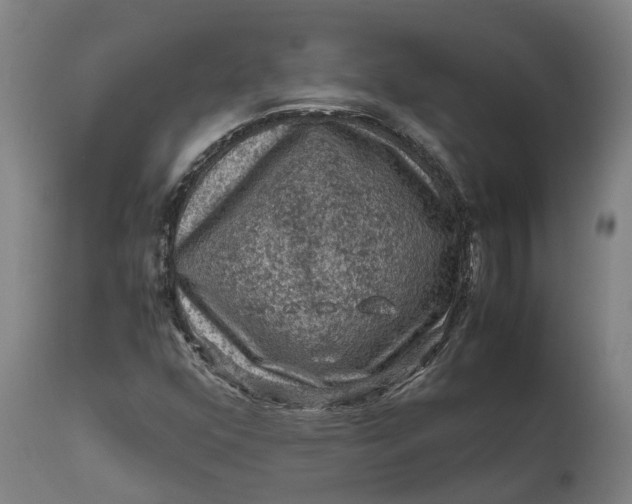 X0000111601352200908061404