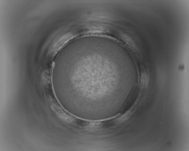 X0000111601353200908061404