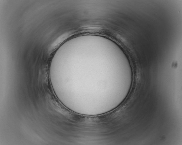 X0000111601354200908061404