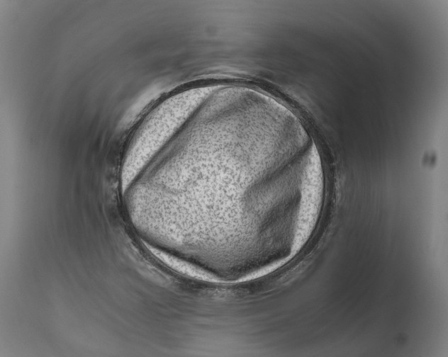 X0000111601355200908061404