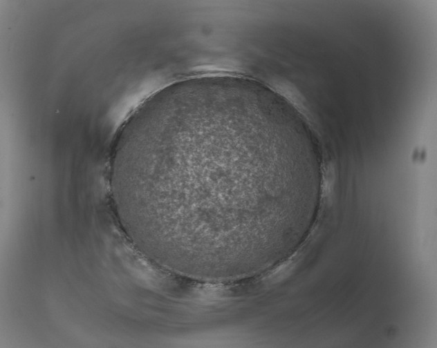 X0000111601357200908061404