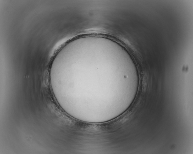 X0000111601358200908061404
