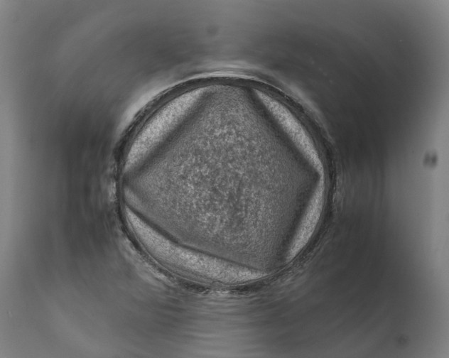 X0000111601360200908061404