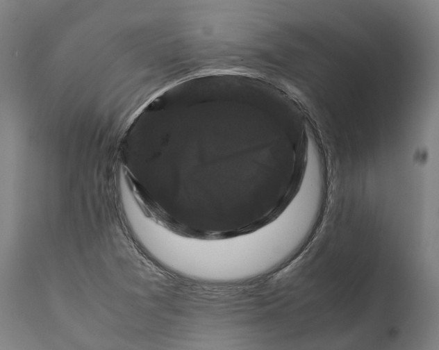 X0000111601361200908061404