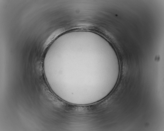 X0000111601362200908061404