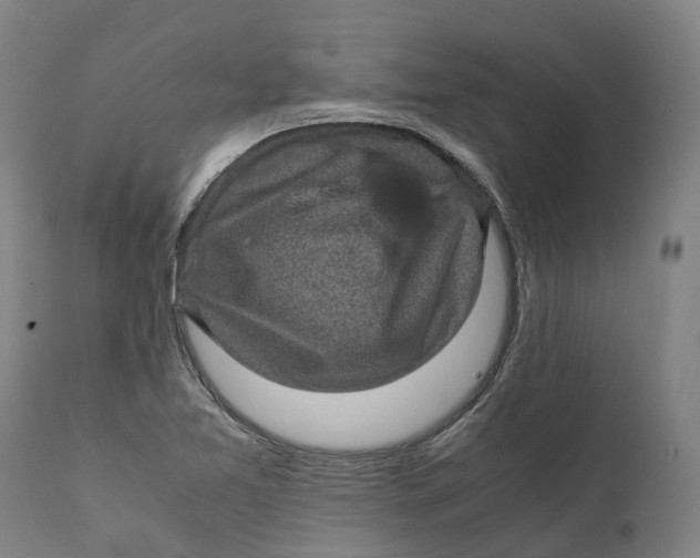 X0000111601365200908061404