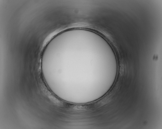 X0000111601366200908061404