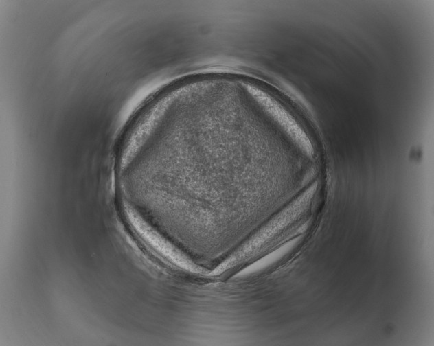 X0000111601368200908061404