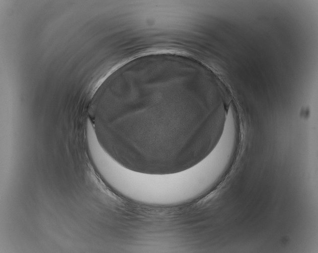 X0000111601369200908061404