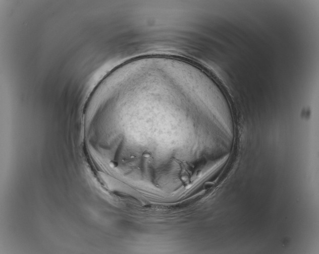 X0000111601371200908061404