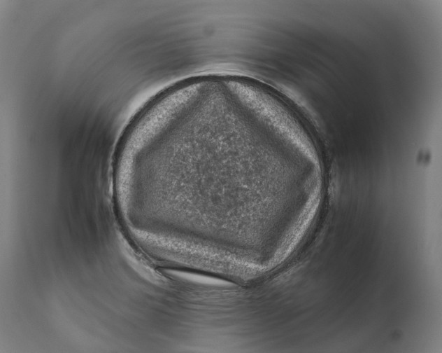 X0000111601372200908061404