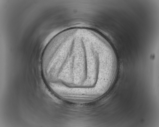 X0000111601375200908061404