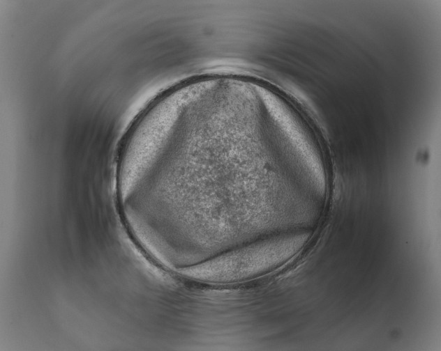 X0000111601376200908061404