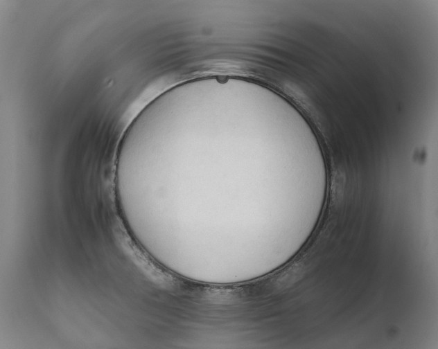 X0000111601378200908061404