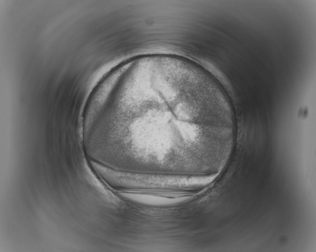 X0000111601380200908061404
