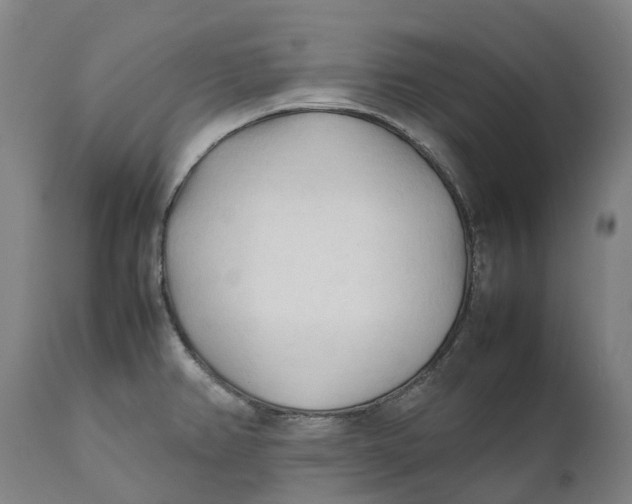 X0000111601382200908061404
