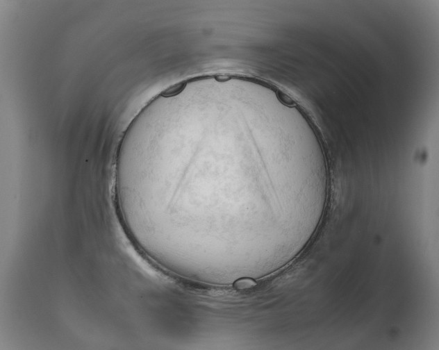 X0000111601383200908061404