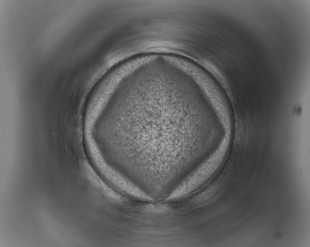 X0000111601384200908061404