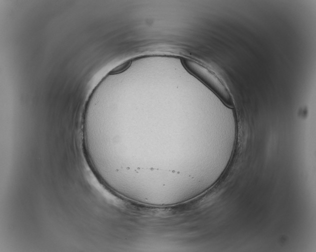 X0000111601387200908061404