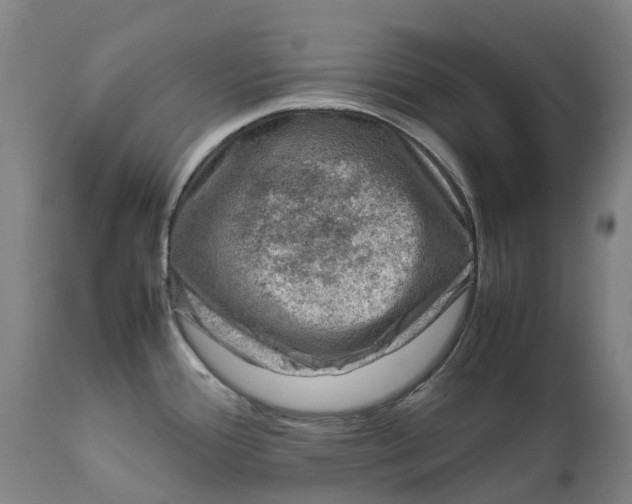 X0000111601388200908061404