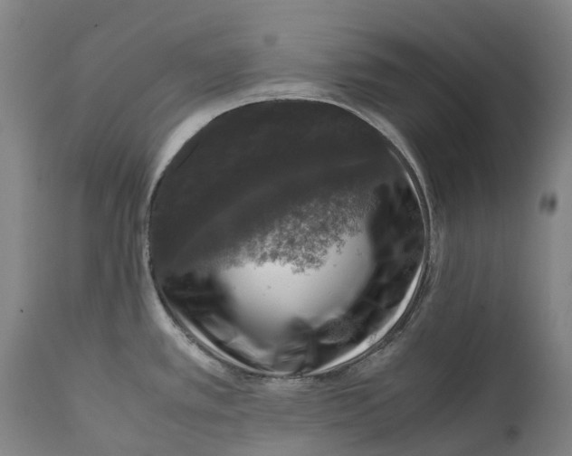 X0000111601389200908061404