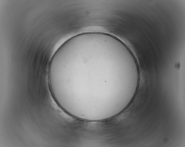 X0000111601390200908061404
