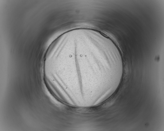 X0000111601391200908061404