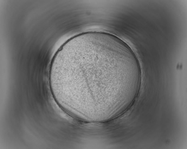 X0000111601392200908061404