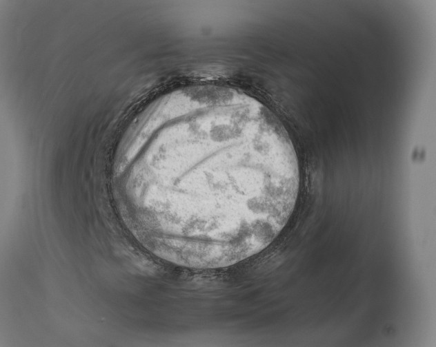 X0000111601393200908061403