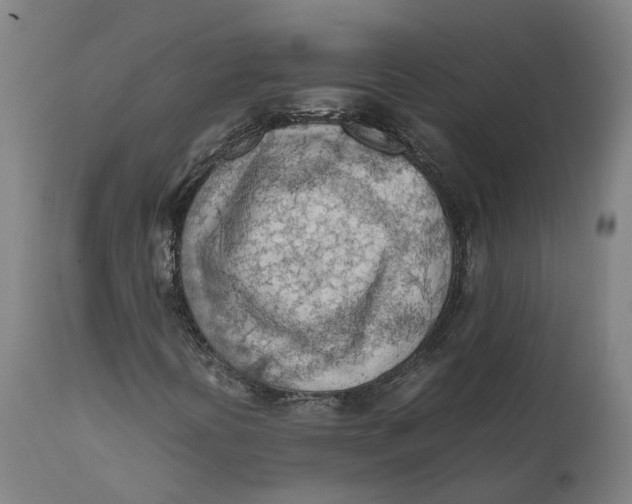 X0000111601394200908061403