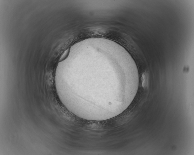 X0000111601395200908061403