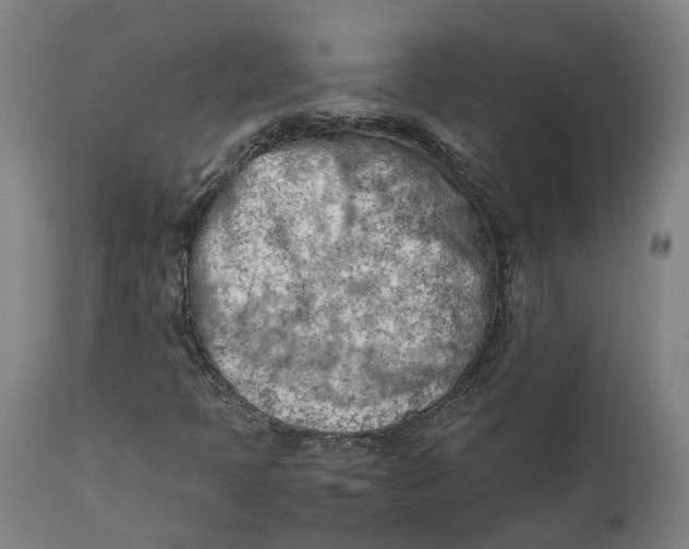 X0000111601397200908061403
