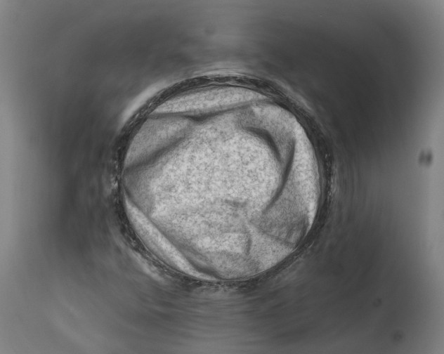 X0000111601400200908061403
