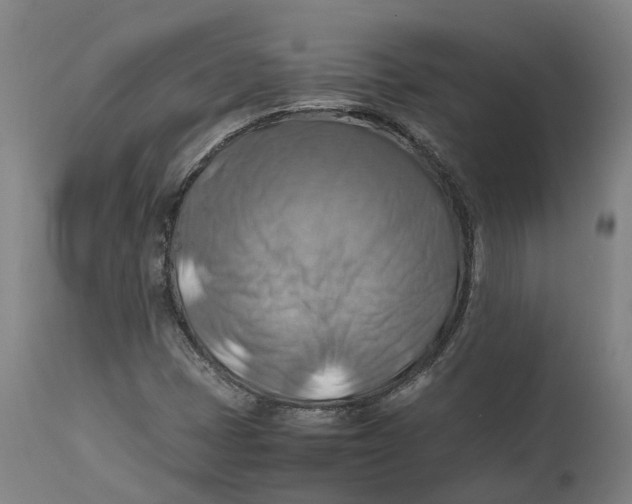 X0000111601401200908061403