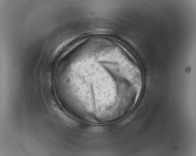 X0000111601402200908061403